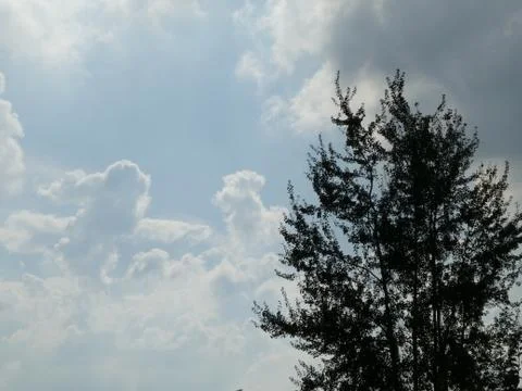 Sky, tree, blue Stock Photos