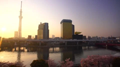 Sky Tree, Cherry Blossoms at Sumida Park, Sunrise, and Tobu Railway Видео 330973914