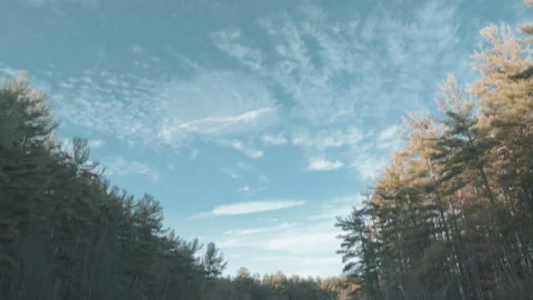 Sky Tree Lake 12 Stock Footage 154136049