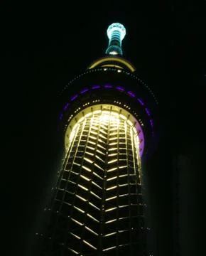 Sky tree at night Stock Photos