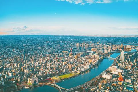 SKY TREE Stock Photos