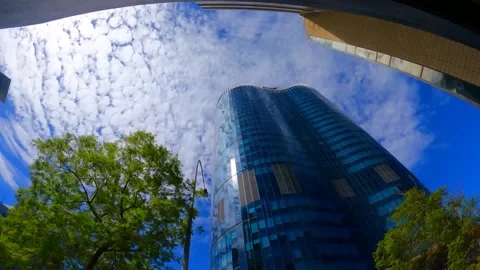 Sky , trees and building timelapse MOV Stock Footage 235670428