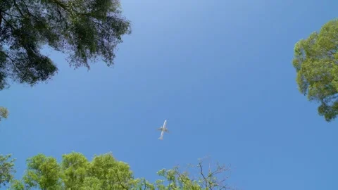 Sky with trees and plane take off Stock Footage 139729327