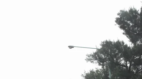 Sky, trees and streets lights from car Stock Footage 24242779