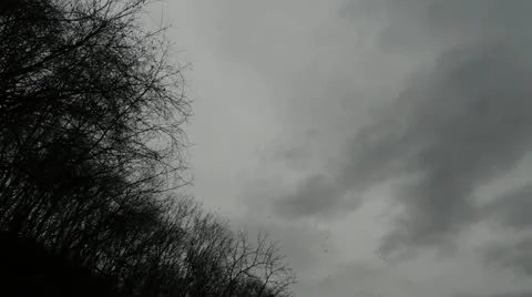 Sky Trees Birds Clouds 001 Stockbeeldmateriaal 12139042