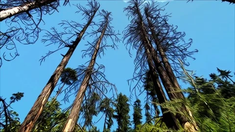 Sky trees Landscape Loop background with blue summer sky and tree crowns with Stock Footage 157305555