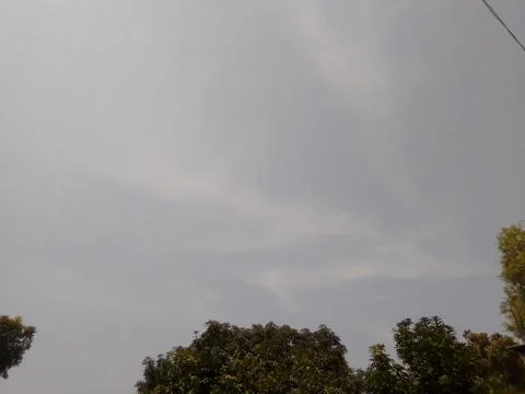 Sky with trees Stock Photos