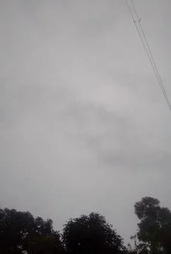 Sky with Trees Stock Photos