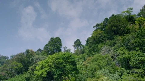 Sky to tropical beach - Camera tilt Stock Footage 92942646