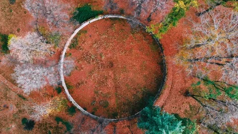 Sky view of autumn road car. Aerial view country road in autumn forest. Forest Stock Footage 119363873