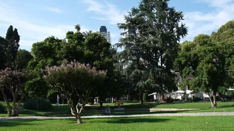 Sky view in central park, trees and buildings in central park Stock Footage 249291156