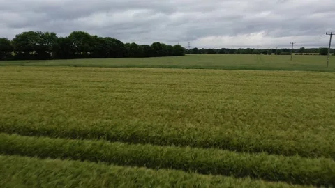 Sky view Stock Footage 278243047