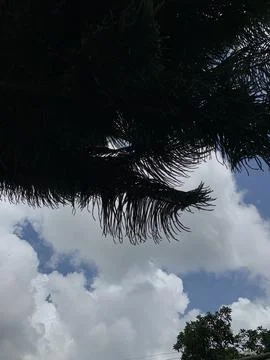 Sky view 库存照片