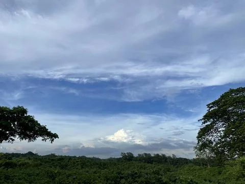 Sky View with tree – Clear Blue Atmosphere with Cloud Formations 写真素材