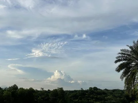 Sky View with tree – Clear Blue Atmosphere with Cloud Formations 写真素材