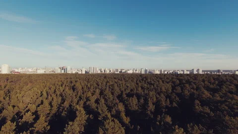 Sky view of tree tops forest and city in the background.Smooth drone take off Stockbeeldmateriaal 166410534