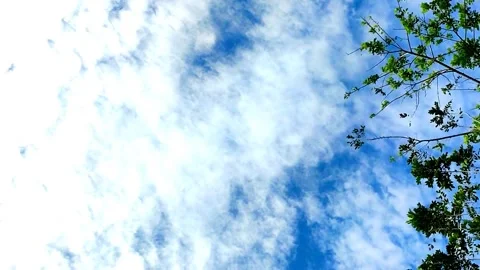 Sky view on the way Video stock 164155961