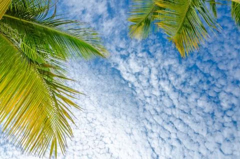 Sky view with white clouds from eagle Beach, Aruba Photos