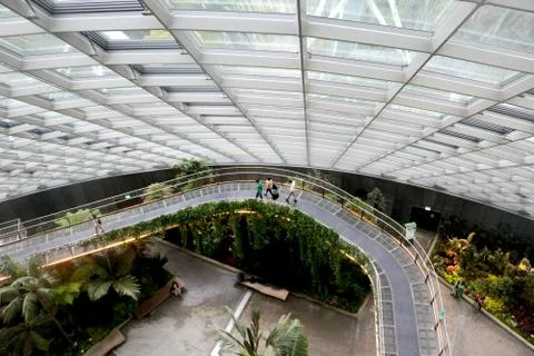 Sky walk (bridge) at cloud mountain inside garden by the bay Stock Photos