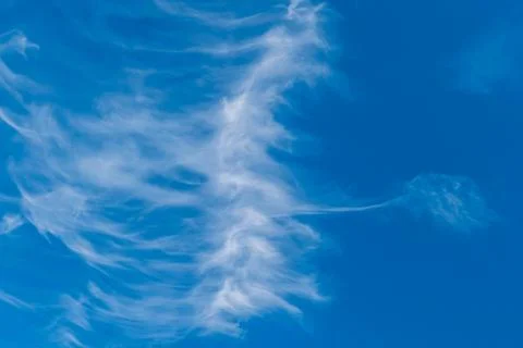 Sky wallpaper with light clouds. Stock Photos