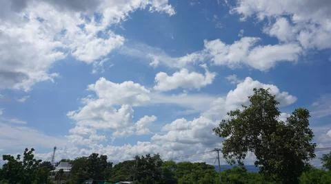 Sky with white clouds above the treetops Stock Photos
