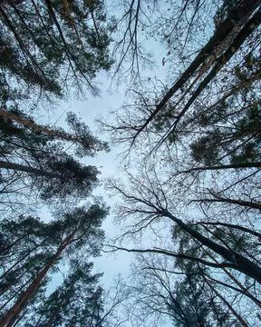 Sky winter Foto stock