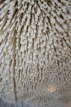 Sky of Wool Stock Photos