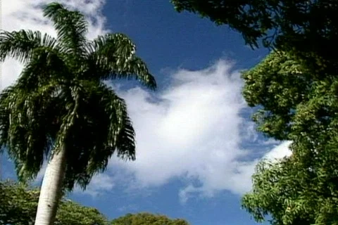 Sky1 Stock Footage 285156