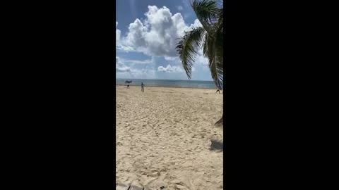 Skydive-In Wedding Proposal, Playa Del Carmen, Mexico - 26 Aug 2022 Stock Footage 205480762