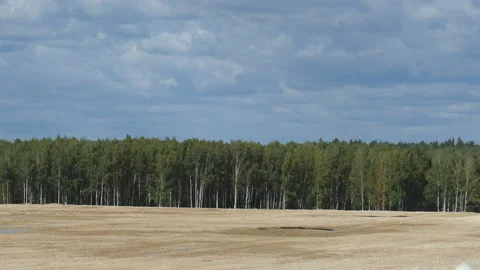 Skydiver Video stock 111831856