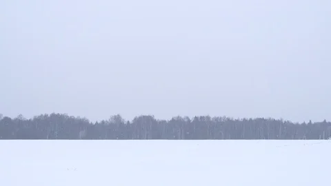 Skydiver is landing Video stock 99582676