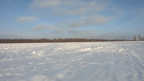 Skydiver is landing Video stock 101152220