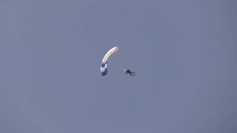 Skydiver parachuting to the ground Stock Footage 159581556