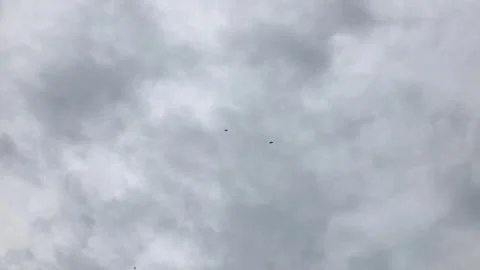 Skydivers Descending Through Soft Gray Cloud Filled Sky During Outdoor Adventure Vídeos de archivo 346638840