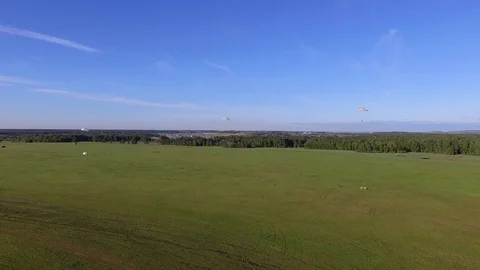 Skydivers Landing In A Field Stock Footage 95777896