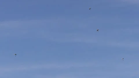 Skydivers in the sky 4k 30fps video Stock-Footage 266844295