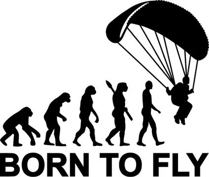 Skydiving Evolution Born to fly Stock Illustration