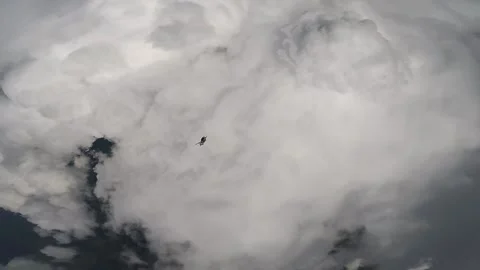 Skydiving, free fall, a man in the clouds, parachutists jump out of an airplane Stock Footage 172089258