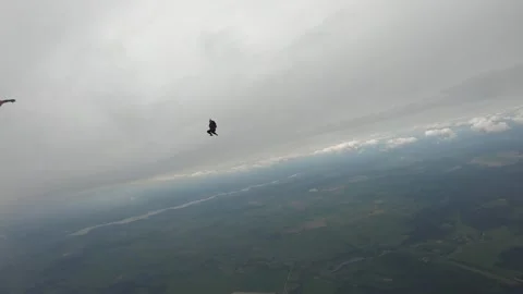 Skydiving. Fun jump. Stock Footage 154987892