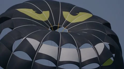 Skydiving over the sea Vidéo 164794475