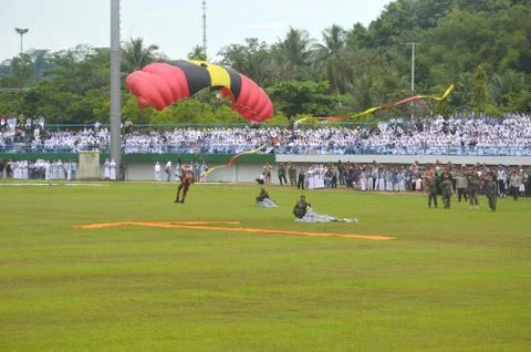 Skydiving 库存照片