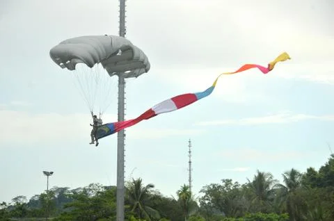 Skydiving 写真素材
