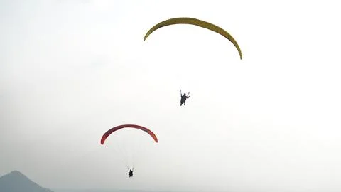 Skydiving in a tea garden 写真素材