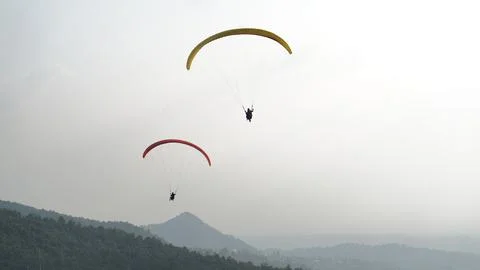 Skydiving in a tea garden Foto stock