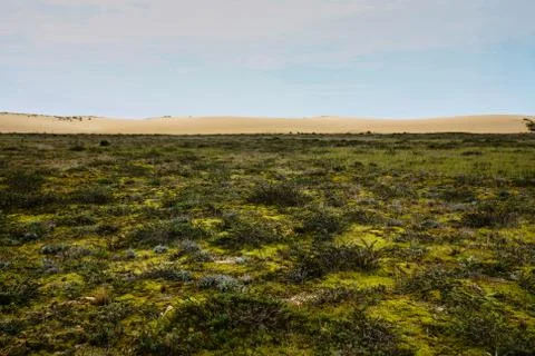 Sky,dune and field Stock Photos