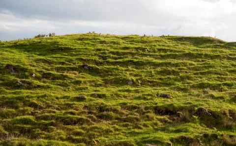 Skye hillside Stockfoto's