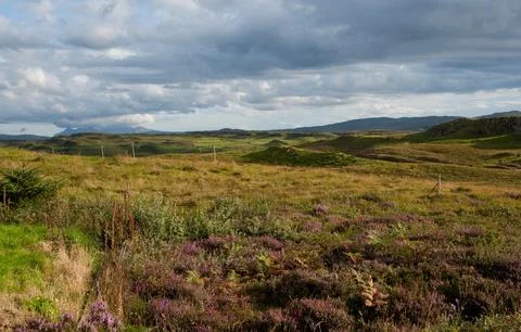 Skye Фото