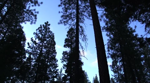 Skylapse into dark Stock Footage 46696563