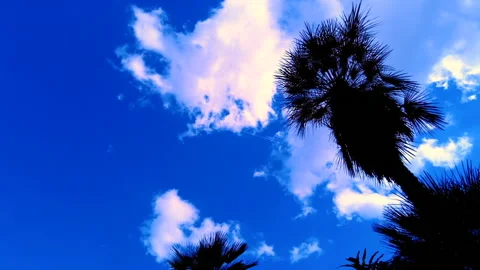 SkyLapse Stock Footage 147469636