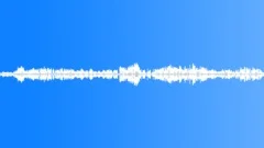 Skylark. Bird twitter Sound Effect